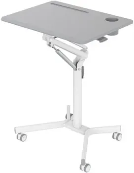CACTUS CS-FDS101WGY