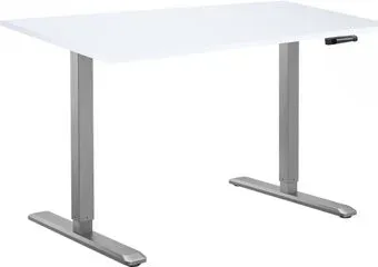 ErgoSmart Manual DESKFIT DF100 1380х800х25 мм (альпийский белый/серый)
