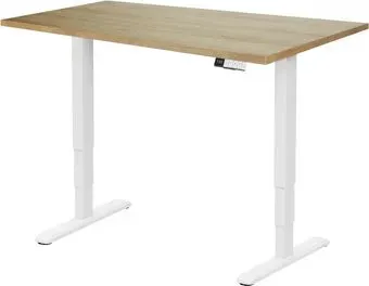 ErgoSmart Unique Ergo Desk 1380х800х25 мм (дуб натуральный/белый)
