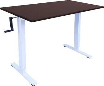 ErgoSmart Manual Desk Light 1200x650x18 мм (эвкалипт темно-коричневый/белый)