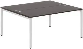 Skyland Xten-S XWST 1614 (легно темный/белый)