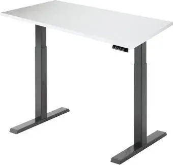 ErgoSmart Electric Desk Compact 1360x800x36 мм (альпийский белый/черный)