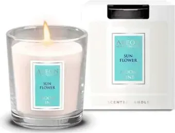 Areon Moon Line Sunflower ARE-CML01 (120 г)