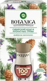 Air Wick Botanica Сибирский кедр и ароматные травы (со сменным флаконом, 19 мл)