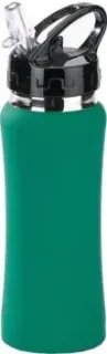 Colorissimo Water Bottle 0.6л (зеленый) [HB01-GR]