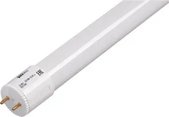 JAZZway PLED T8 G13 10 Вт 4000 К [PLED T8-600GL 10w FR]