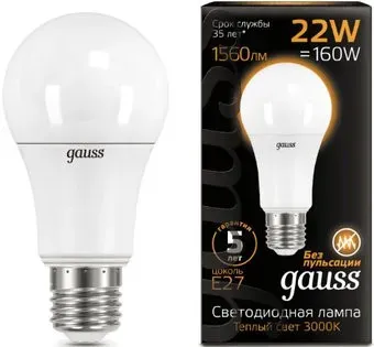 Gauss 102502122