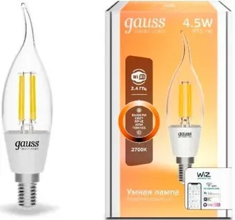 Gauss Smart Home 1260112