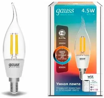 Gauss Smart Home 1280112