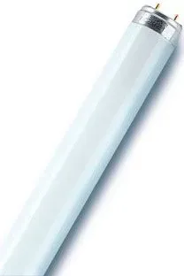 Osram G13 15Вт 6500 К