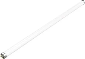 Gauss LED Elementary T8 Glass G13 10 Вт 4000 K 93020
