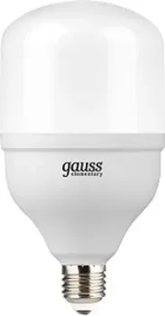 Gauss Elementary T100 E27 32 Вт 6500 K 63233