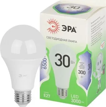 ЭРА Green Line LED A65-30W-865-E27