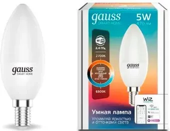 Gauss Smart Home 1110112