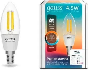 Gauss Smart Home 1250112