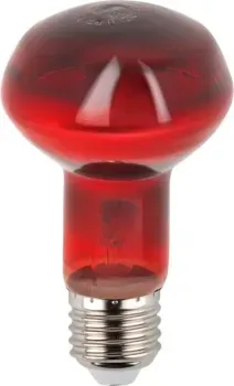 ЭРА ИКЗК 230-60 R63 Е27