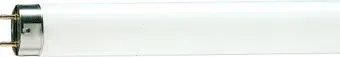 Philips TL-D 58W/54-765 1SL/25 928049005451