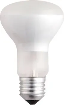 JAZZway R63 60W E27 frost 3321444