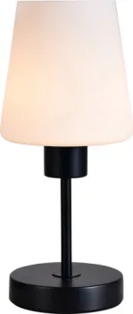 ESCADA 120004/1T ES0002707 (черный)