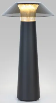 Elektrostandard Future TL70200 (черный)