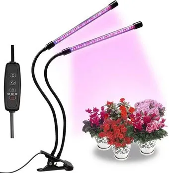Glanzen RPD-0005-15-Fito