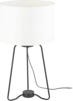TK Lighting Tampa 5581
