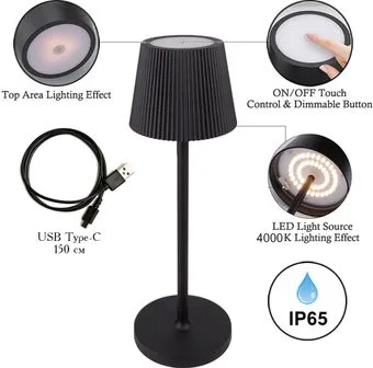 Arte Lamp Fuyue A1616LT-1BK