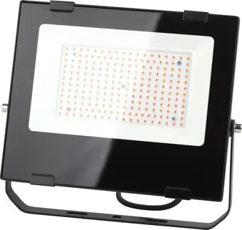 ЭРА FITO-100W-RB-LED