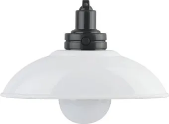 ЭРА NLED-487-1W-SW-W