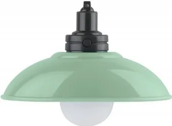 ЭРА NLED-487-1W-SW-GR