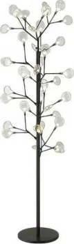 Wertmark Fiorita WE241.39.025