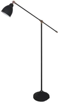 Arte Lamp Braccio A2054PN-1BK