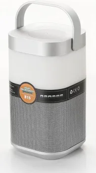 Arte Lamp Relax A2005LT-1SI