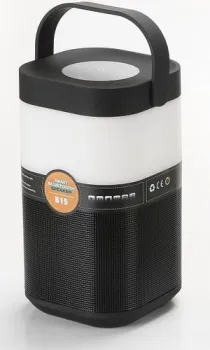 Arte Lamp Relax A2005LT-1BK