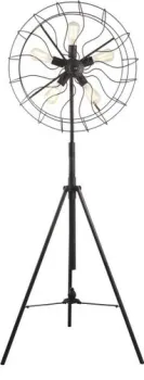 Divinare Cottero 5002/05 PN-5