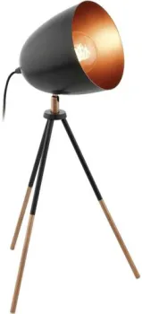 Eglo Chester 49385