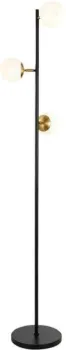 Evoluce Forli SLE220405-03