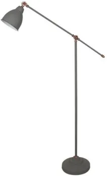 Arte Lamp Braccio A2054PN-1GY