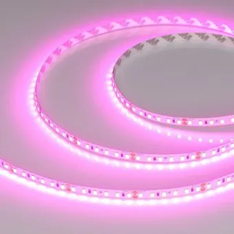 Arlight 6W/m 120Led/m 2835SMD пурпурно-розовый 5M RT-A120-8mm 24V Magenta 043381