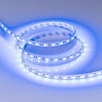 Arlight 4W/m 60Led/m 5060SMD синий 5M RT-B60-10mm 12V Blue 012336(3)