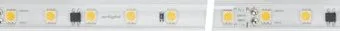 Arlight 8W/m 54LED/m 5060SMD теплый белый 50M 027059(2)