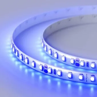 Arlight 9.6W/m 120LED/m 2835SMD синий 5M 014676(2)