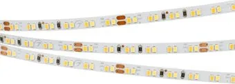 Arlight Microled-5000 24V White-CDW 4.5mm 024506