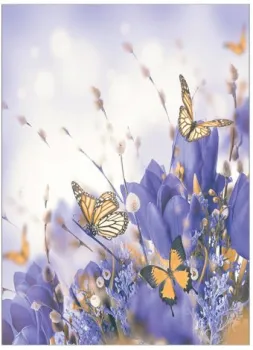 JoyArty bcsl_4877 (160x220)