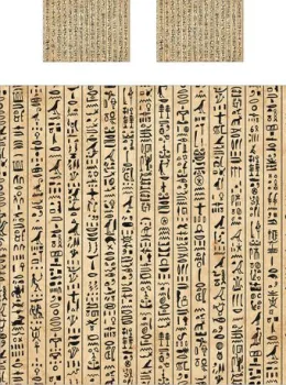 Ambesonne micbed_43506_c01-230x240