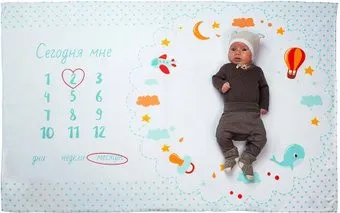МиМиМи Бирюзовые звезды ФПЛ13 150х100