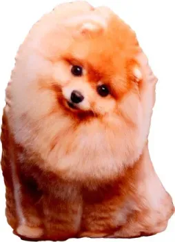 Mni Mnu Шпиц 9326991