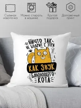 Print Style Ничто так не бодрит с утра, как звук блюющего кота 40x40plat262 (40x40 см)