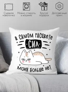 Print Style В самом расцвете сил, моих больше нет 40x40plat255
