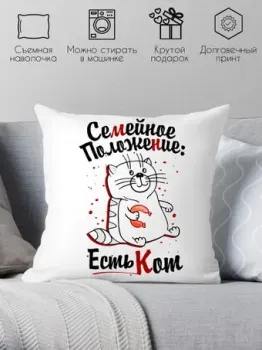 Print Style Семейное положение, есть кот 40x40plat22